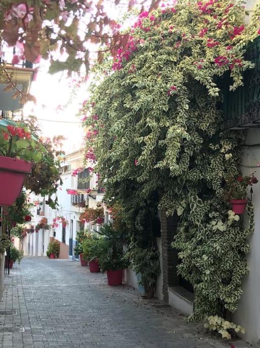 Casa Maria Apartman Estepona Kültér fotó